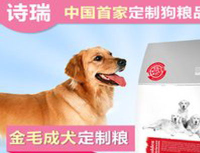 寵物用品加盟排行榜與加盟費分析 兼論數碼類寵物產品發展趨勢