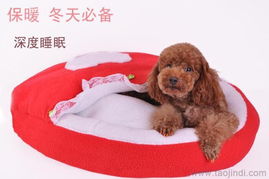 優(yōu)質(zhì)寵物窩墊與用品廠家直銷，批發(fā)價(jià)格盡享舒適與實(shí)惠