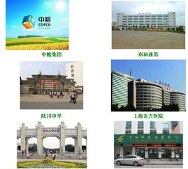 深圳數碼冰機王飲水機 智能生活的清涼伙伴